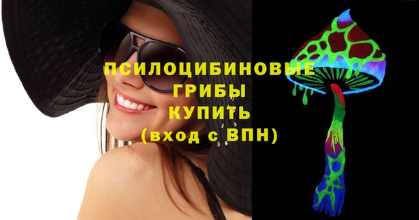 хмурый Заводоуковск